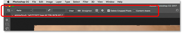 The Options Bar in the Photoshop interface.