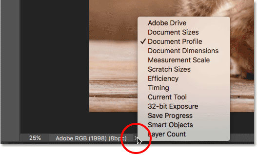 The Status Bar menu in the Photoshop interface.