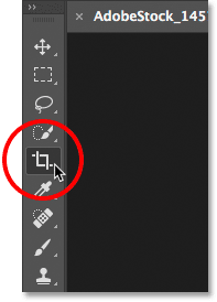 Selecting the Crop Tool from the Toolbar in Photoshop.