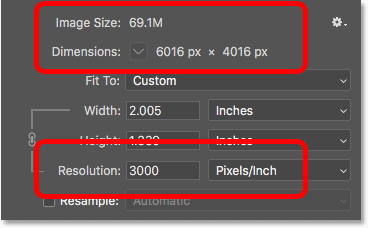 Increasing the image resolution did not change the pixel dimensions or file size of the image