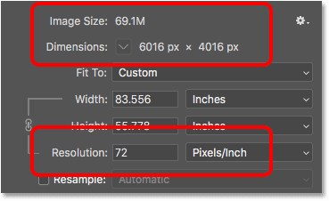 Lowering the image resolution did not change the file size or the pixel dimensions
