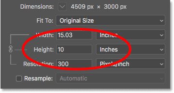 The current width of the image, in pixels, in the Image Size dialog box in Photoshop