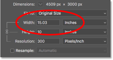 The current print width of the image in the Image Size dialog box in Photoshop