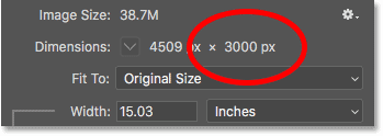 The current height of the image, in pixels, in the Image Size dialog box in Photoshop