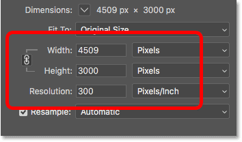 The Width, Height and Resolution options in the Image Size dialog box in Photoshop