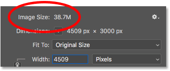 The image size, in megabytes, is shown in Photoshop