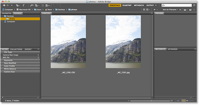 A raw and JPEG version of the same photo in Adobe Bridge. Image © 2013 Photoshop Essentials.com