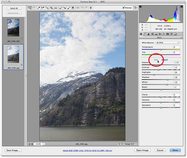 The JPEG version of the image after clicking the Auto button in Camera Raw. Image © 2013 Photoshop Essentials.com