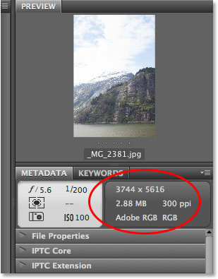 Viewing the Metadata panel in Adobe Bridge. Image © 2013 Photoshop Essentials.com