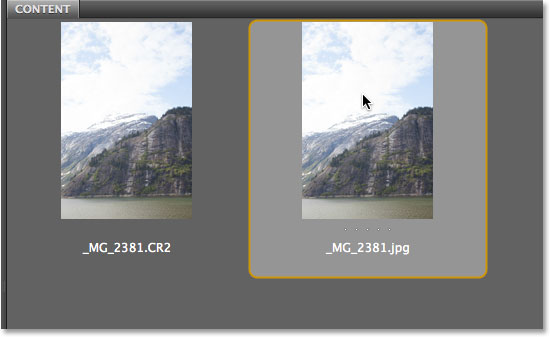 Selecting the JPEG photo in Bridge. Image © 2013 Photoshop Essentials.com