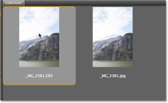 Selecting the raw file in Adobe Bridge. Image © 2013 Photoshop Essentials.com