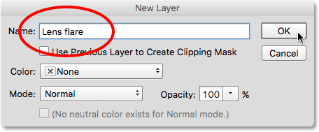 Naming the layer in the New Layer dialog box. 