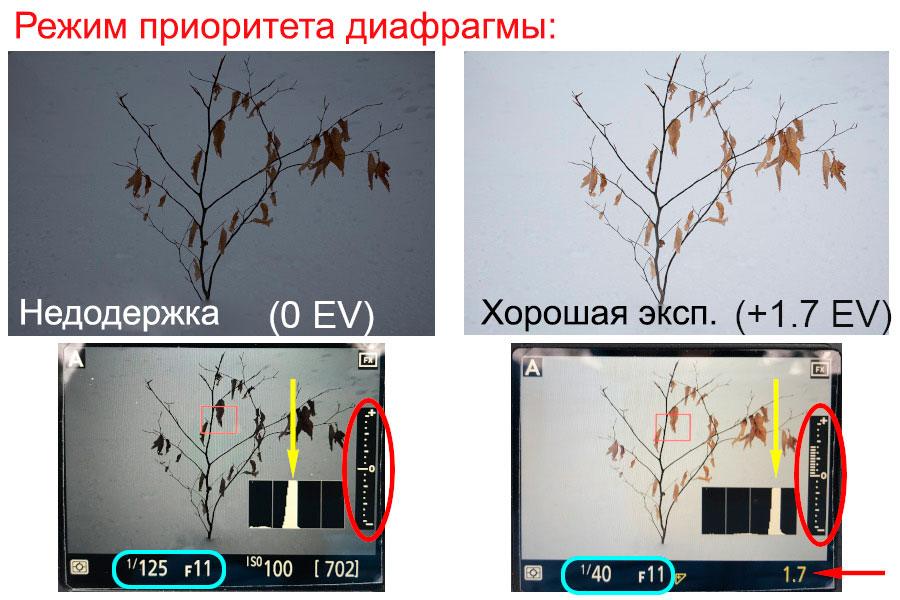 Экспокоррекция в фотографии