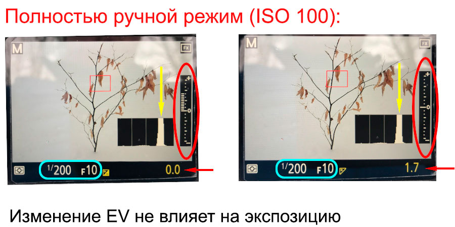 Экспокоррекция в фотографии