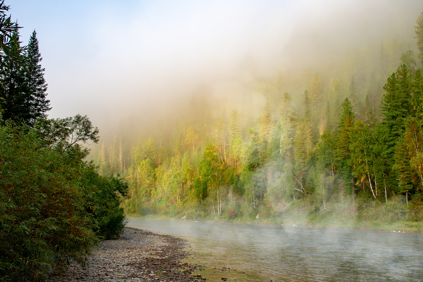 Туман фото картинки