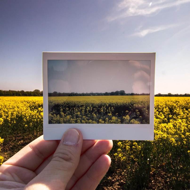 Polaroid размер фотографии