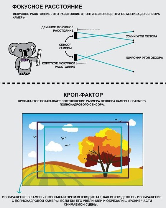 Как фокусное расстояние влияет на фотографию