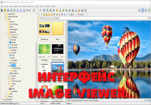 Интерфейс Image Viewer