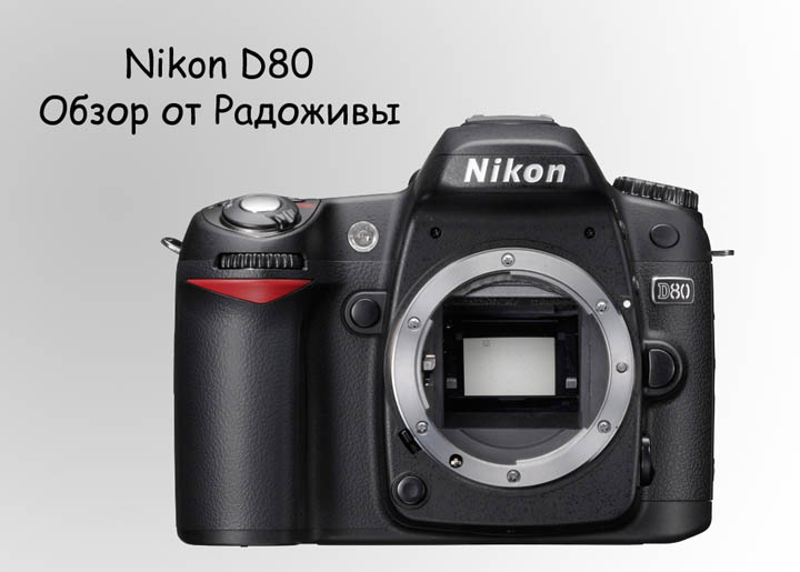 Nikon D80 body