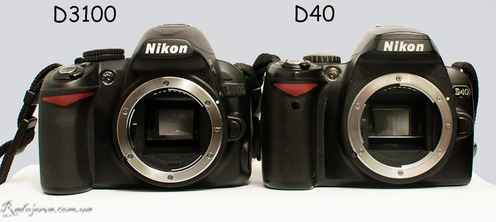 Сравнение размеров Nikon D3100 и Nikon D40