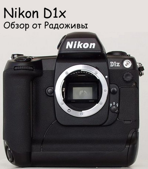 Nikon D1x Review