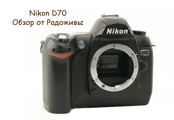 Обзор Nikon D70