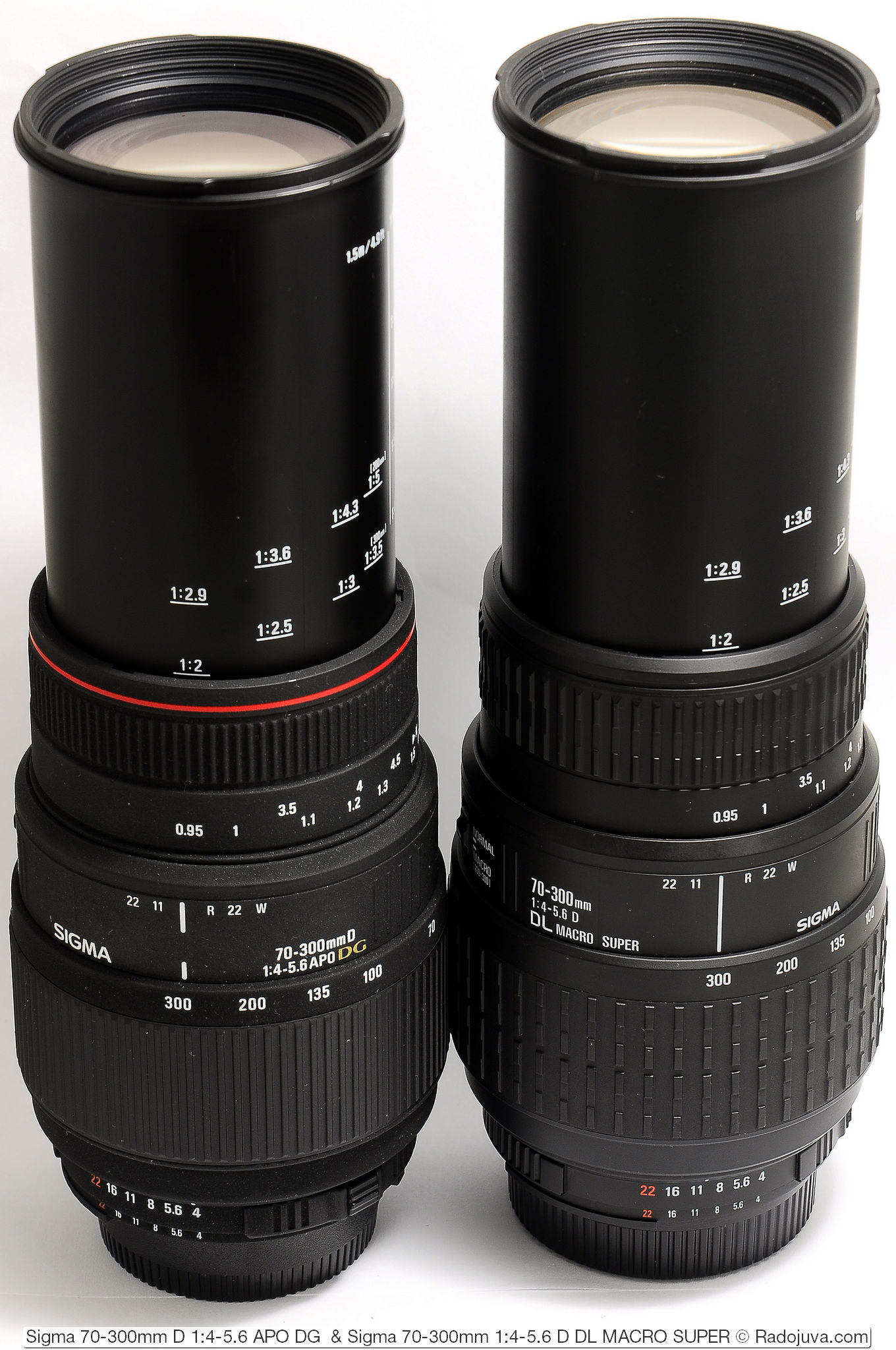 Объективы sigma macro. Sigma 70-300mm d 1:4-5.6 apo DG. Sigma 70-300 Nikon. Объектив Canon Sigma DG 70-300mm. 70-300 DG macro 4-5.6 apo Sigma.