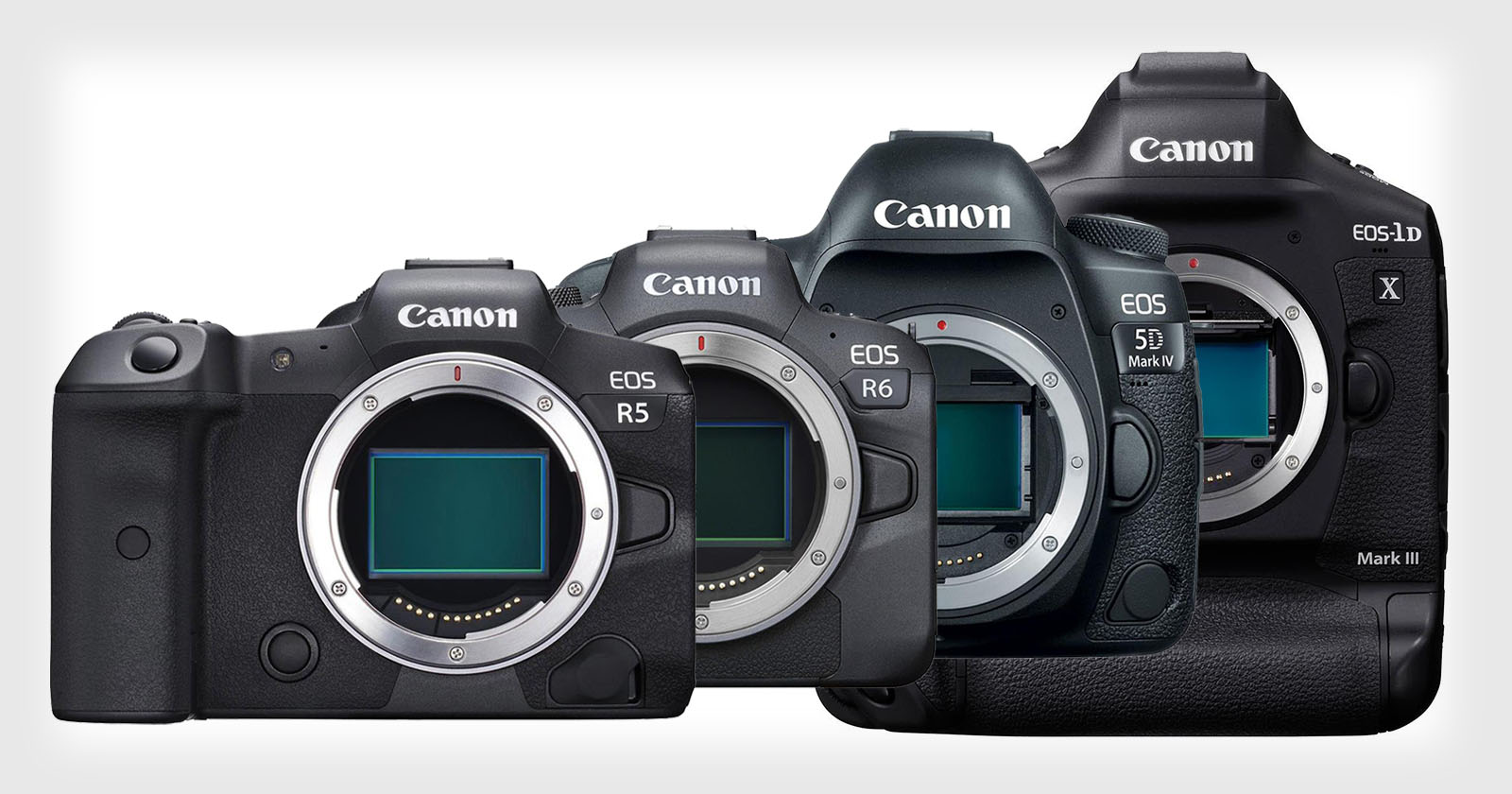R5 mark ii. Canon EOS r6. Canon r5 Mark II. Canon EOS r6 body. Canon EOS r6 Mark II.