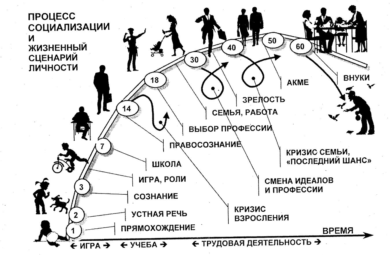 Этапы развития картинка