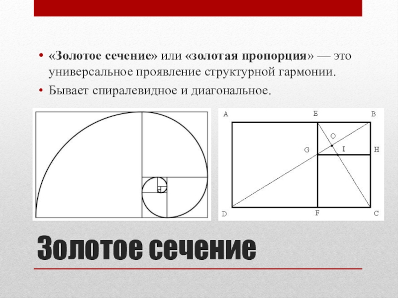 Картинки по золотому сечению