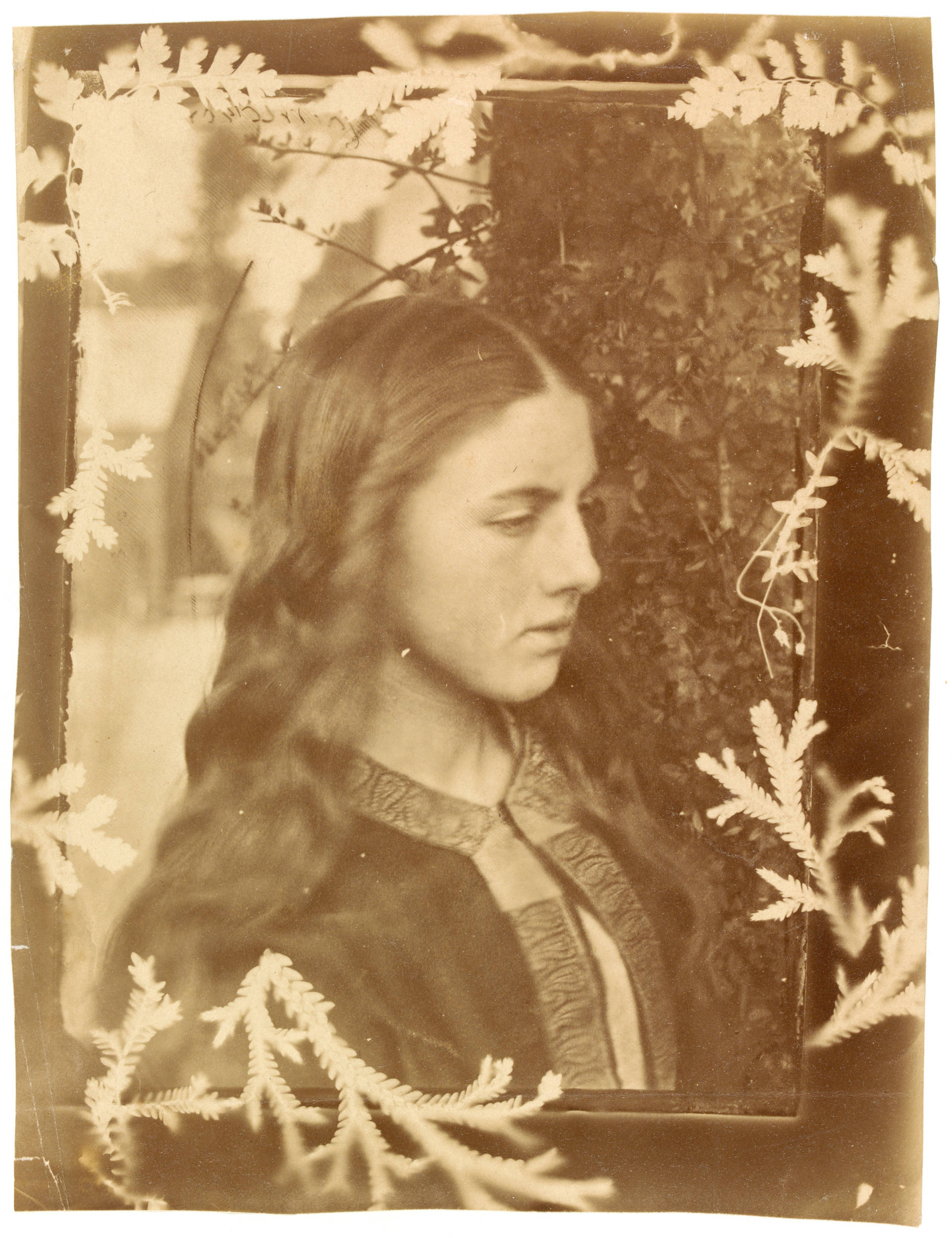 Julia margaret cameron фотографии