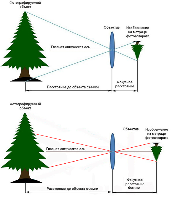 Как фокусное расстояние влияет на фотографию