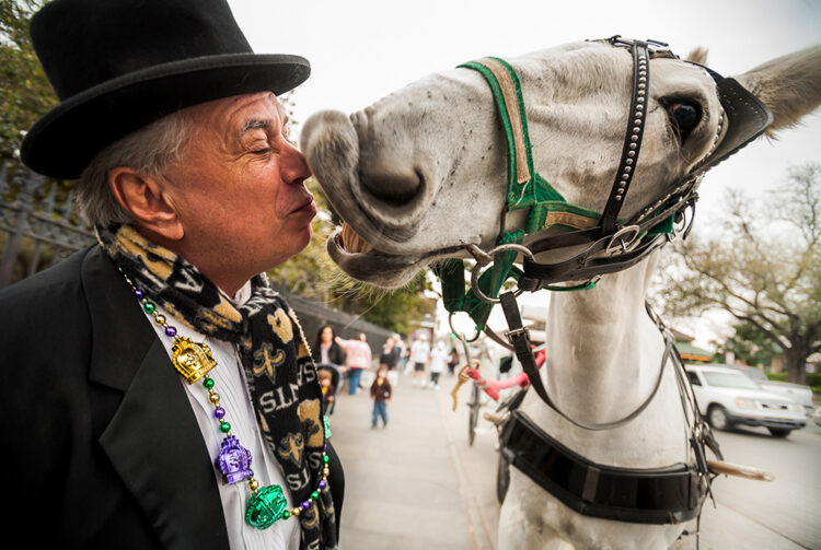 wide angle camera lenses can make a photo of a mule driver and his mule in New Orleans appear with a humorous perspective