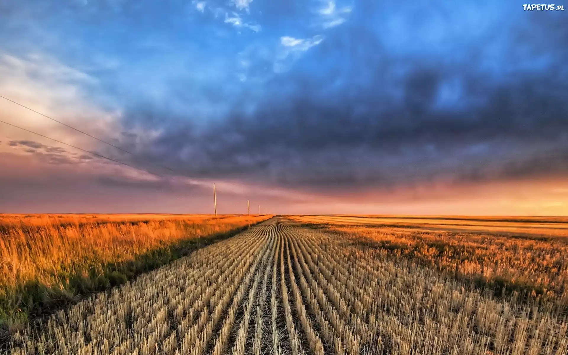 Что такое горизонт. Горизонт. Jigsaw field.