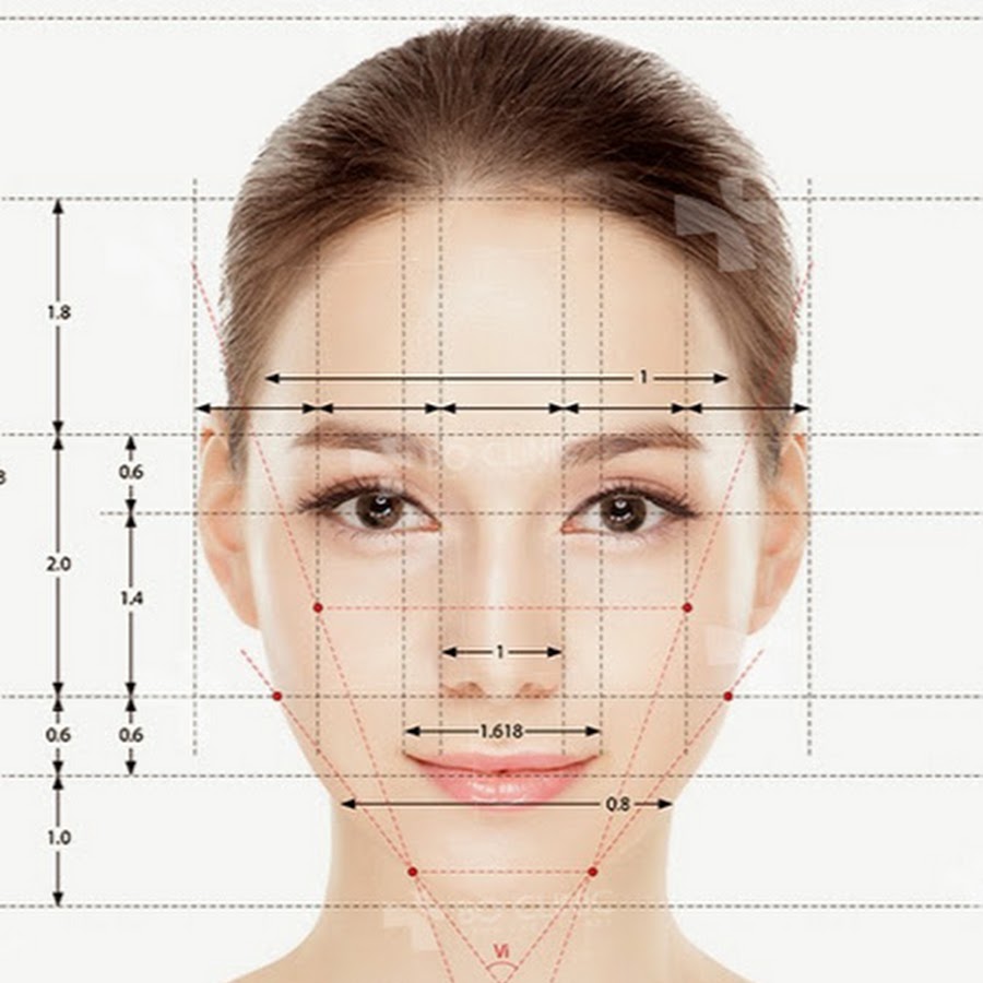 Определить пропорции лица по фото онлайн