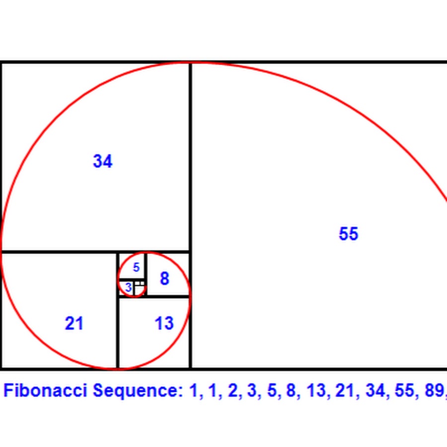 Числа фибоначчи рисунок