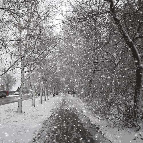 Добавить Снег На Фото Онлайн Бесплатно