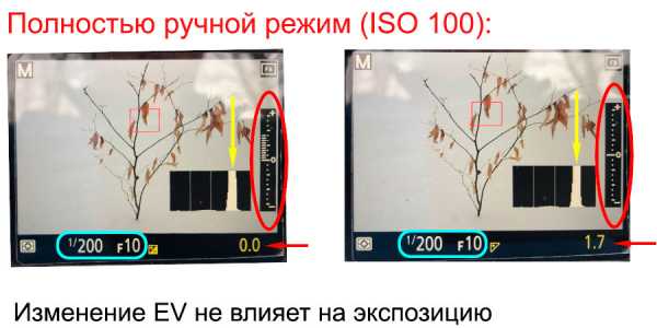 Рис око просмотр результатов