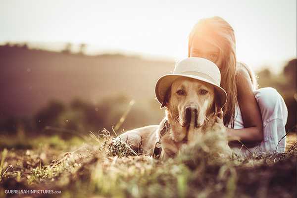 Guerel Sahin pictures